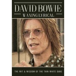 DVD David Bowie-Waxing Lyrical ( Coffret 2 DVD)