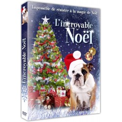 DVD L’incroyable Noël