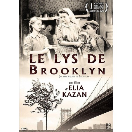 DVD Le Lys de Brooklyn (BQHL)