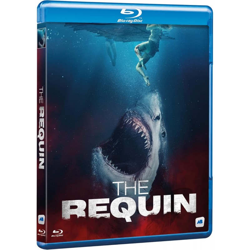 Accueil The Requin