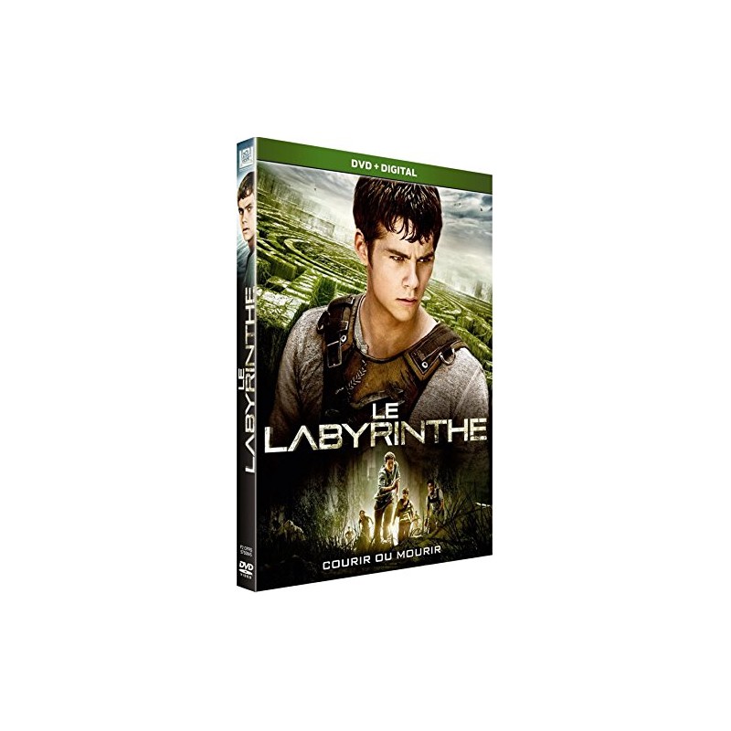 Le labyrinthe - DVD