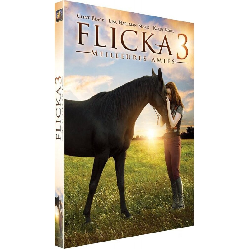 DVD Flicka 3