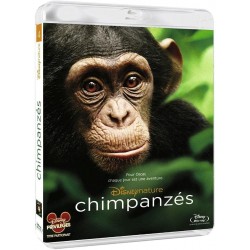 Chimpanzés (disney)
