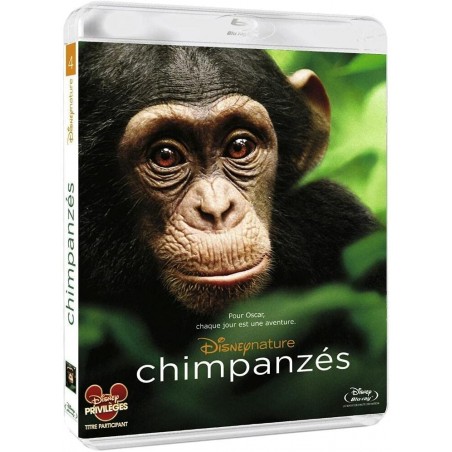 Blu Ray Chimpanzés (disney)